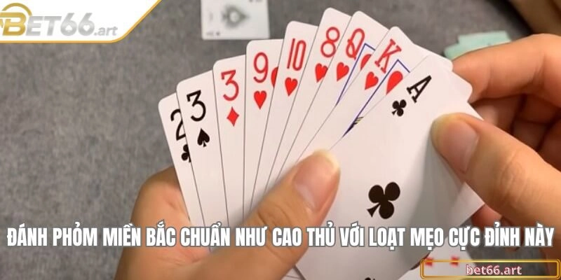 Đánh phỏm miền Bắc chuẩn như cao thủ với loạt mẹo cực đỉnh