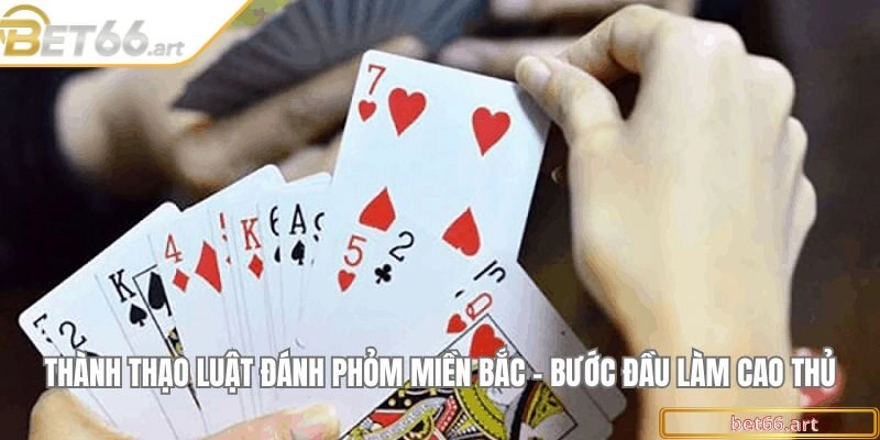 Thành thạo luật đánh phỏm miền Bắc - Bước đầu làm cao thủ
