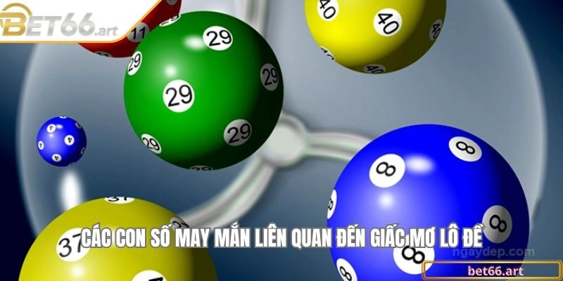 Các con số may mắn liên quan đến giấc mơ lô đề