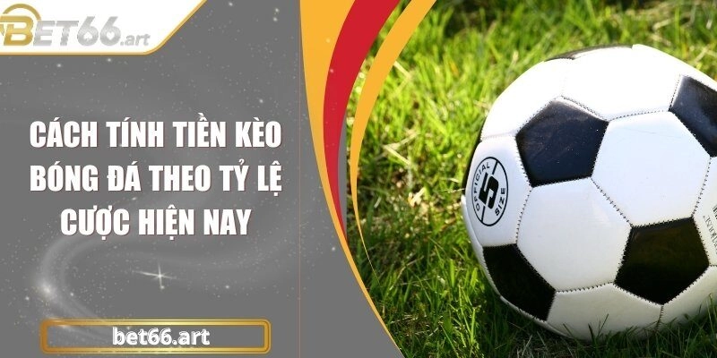 Cách Tính Tiền Kèo Bóng Đá Theo Tỷ Lệ Cược Hiện Nay