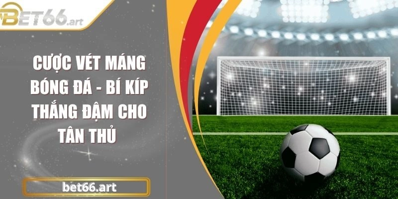 Cược Vét Máng Bóng Đá – Bí Kíp Thắng Đậm Cho Tân Thủ