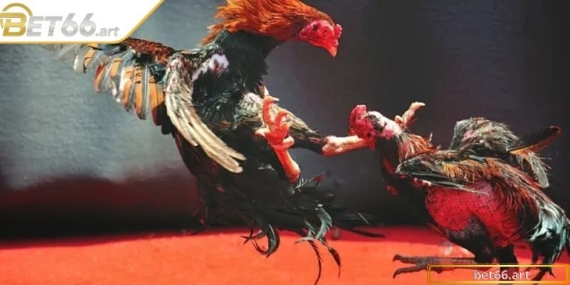 Hội viên cần trang bị kinh nghiệm hay trước khi xuống tiền