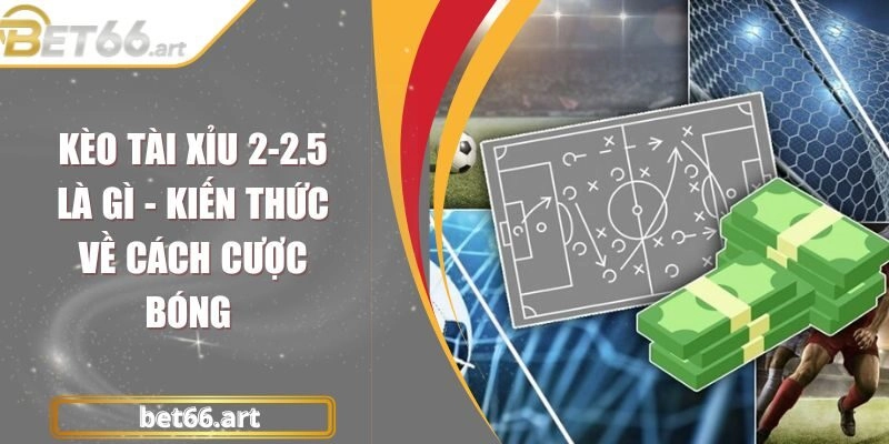 Kèo Tài Xỉu 2-2.5 Là Gì – Kiến Thức Về Cách Cược Bóng