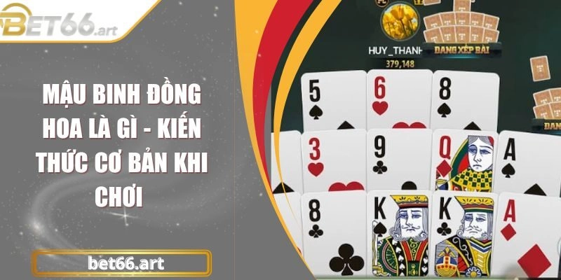 Mậu Binh Đồng Hoa Là Gì – Kiến Thức Cơ Bản Khi Chơi