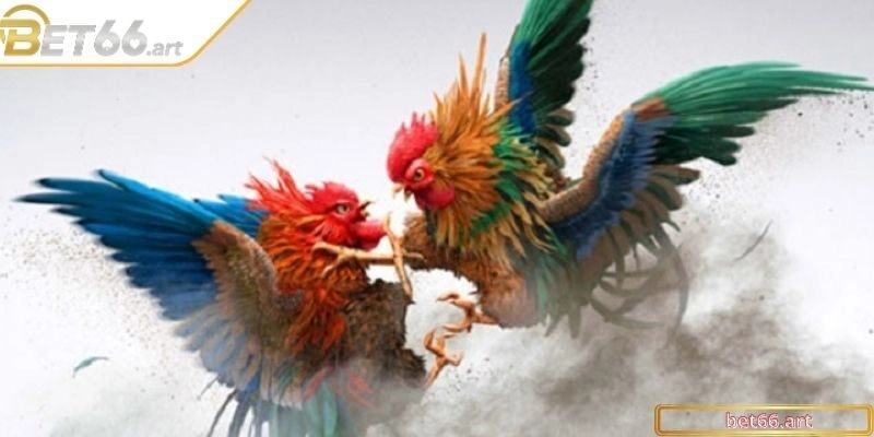 Những sự chuẩn bị trong việc chăm rất bài bản
