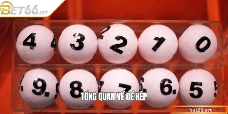 Tổng quan về đề kép